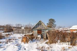 Дом 16м&sup2;, 1-этажный, участок 4 сот.  