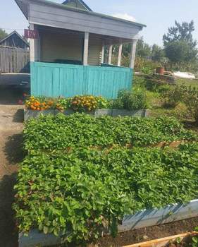 Дом 20м&sup2;, 1-этажный, участок 20 сот.  