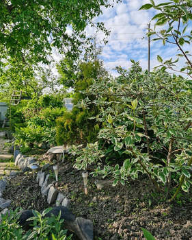 Дом 30м&sup2;, 1-этажный, участок 7 сот.  