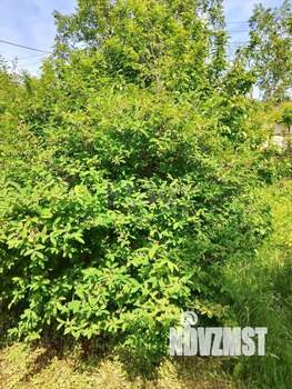 Дом 20м&sup2;, 1-этажный, участок 6 сот.  