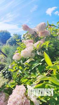 Дом 72м&sup2;, 2-этажный, участок 7 сот.  