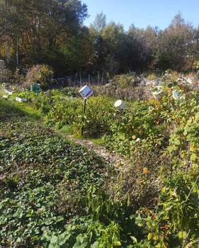 Дом 20м&sup2;, 1-этажный, участок 20 сот.  