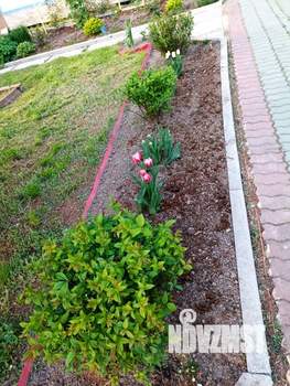 Дом 30м&sup2;, 1-этажный, участок 8 сот.  