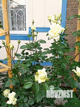 Дом 30м², 1-этажный, участок 8 сот.  