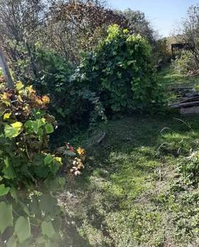 Дом 12м&sup2;, 1-этажный, участок 12 сот.  