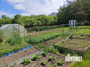 Дом 58м&sup2;, 1-этажный, участок 10 сот.  