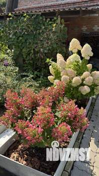 Дом 60м², 2-этажный, участок 8 сот.  