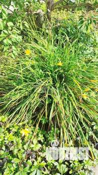 Дом 72м&sup2;, 2-этажный, участок 7 сот.  