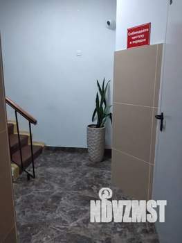 Студия квартира, посуточно, 20м2, 1/2 этаж