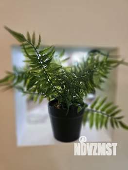 Студия квартира, на длительный срок, 51м2, 19/22 этаж