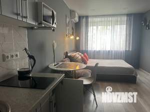 Студия квартира, посуточно, 24м2, 4/4 этаж