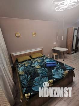 Студия квартира, посуточно, 20м2, 5/10 этаж