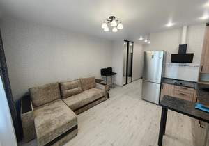 Студия квартира, на длительный срок, 28м2, 5/19 этаж