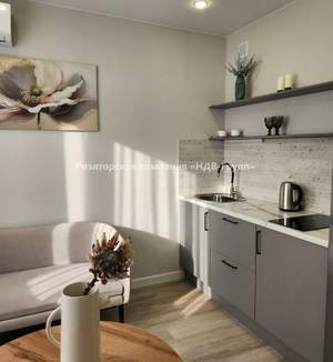 Студия квартира, на длительный срок, 25м2, 7/9 этаж