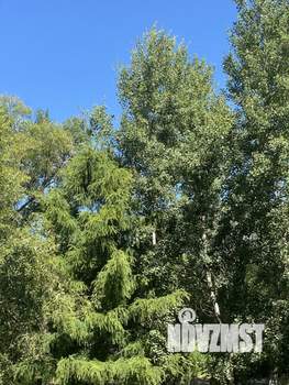 1-к квартира, вторичка, 35м2, 5/5 этаж