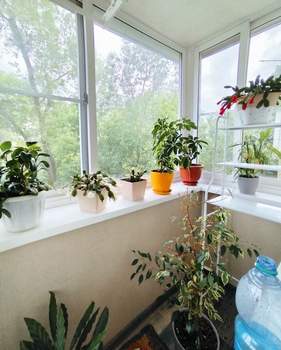 Фото квартиры на продажу (1)
