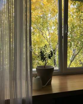 1-к квартира, вторичка, 28м2, 5/5 этаж