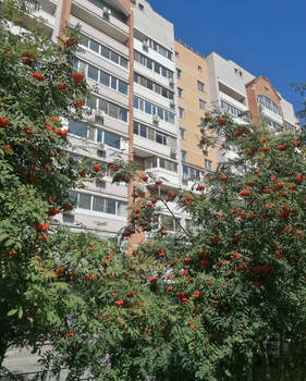 2-к квартира, вторичка, 54м2, 3/10 этаж