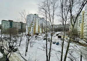 3-к квартира, вторичка, 66м2, 5/9 этаж